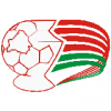 Belarusian Cup logo